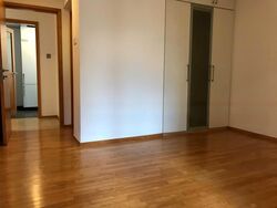 The Levelz (D10), Condominium #476211781